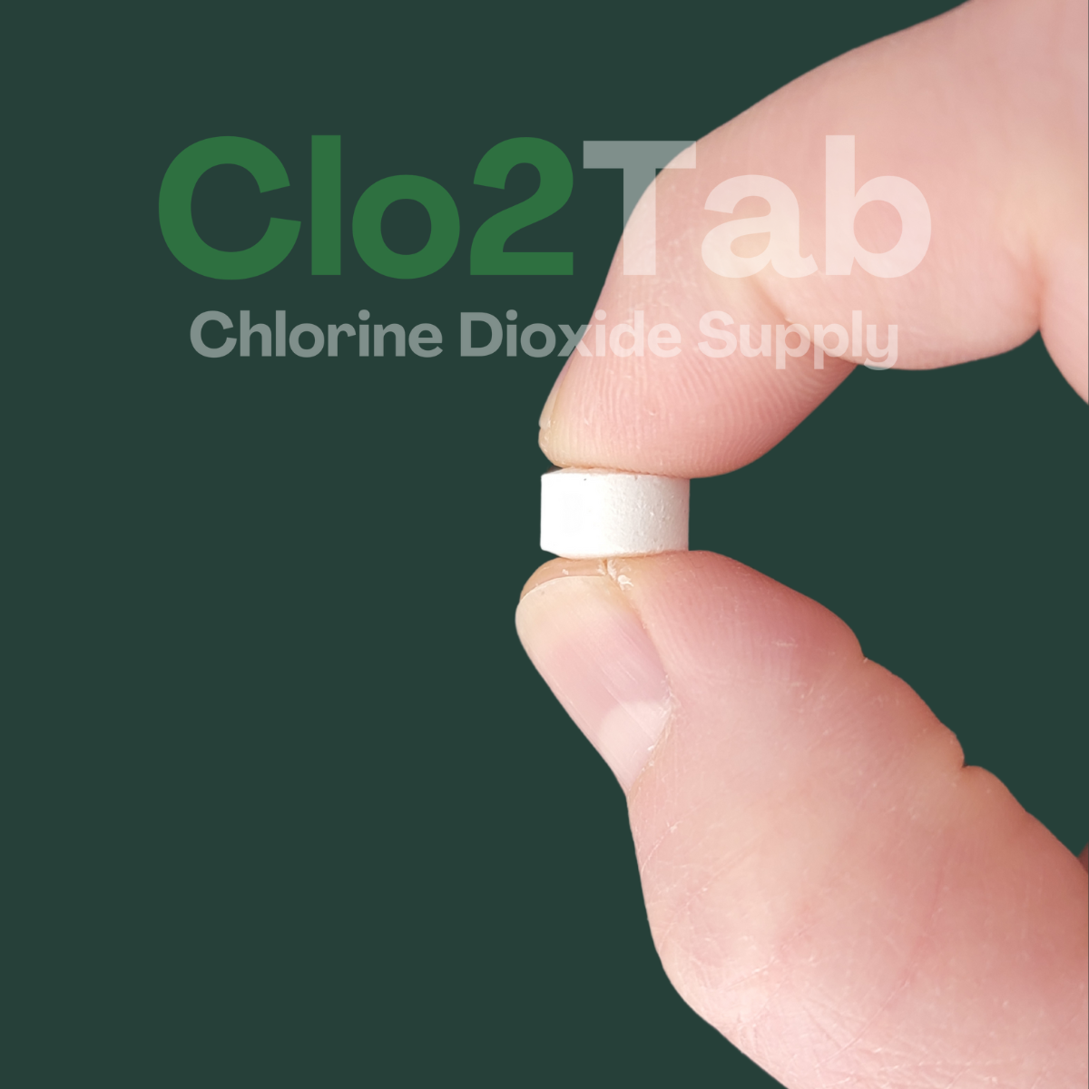 CLo2Tab Odor Chlorine Dioxide Tablets - 500 x 1g (1.1 Pound) Best Value!